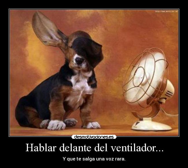 carteles perros ventiladores desmotivaciones