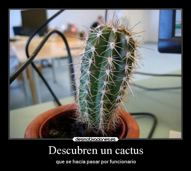 Descubren un cactus - que se hacía pasar por funcionario