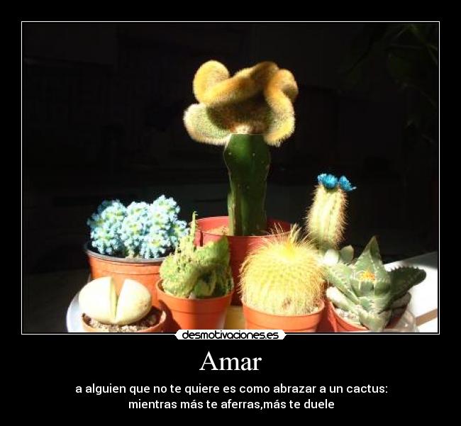Amar -