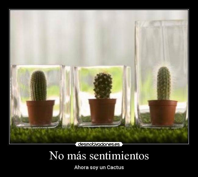 No más sentimientos - Ahora soy un Cactus