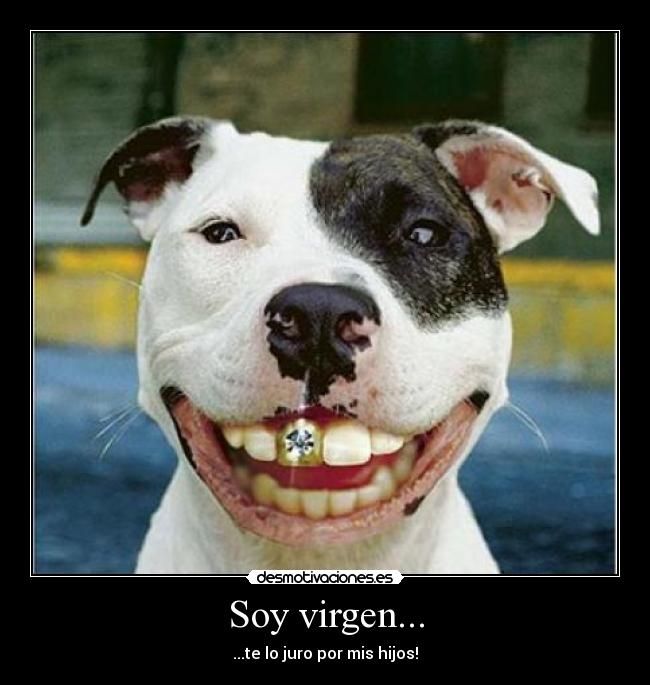 Soy virgen... - ...te lo juro por mis hijos!