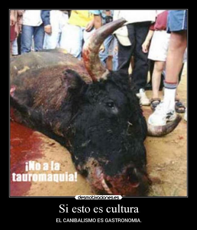 Si esto es cultura - 