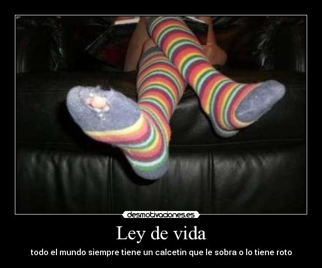 Ley de vida - 