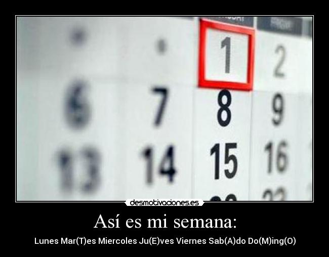 Así es mi semana: -