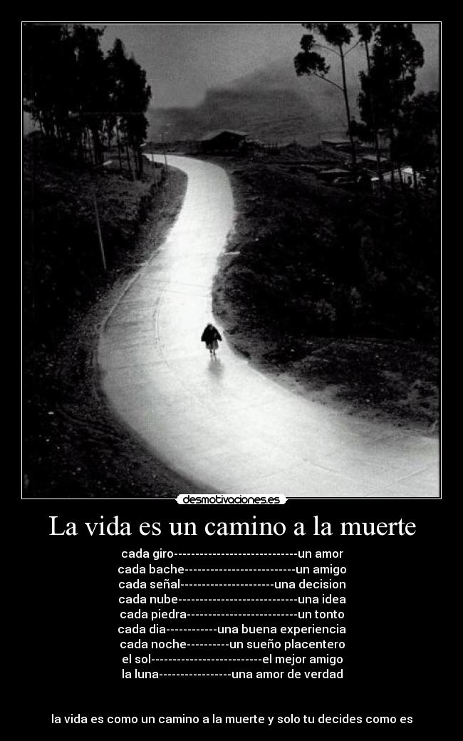 La vida es un camino a la muerte - 