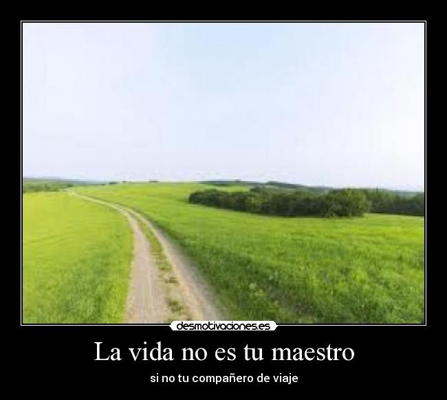 La vida no es tu maestro - si no tu compañero de viaje