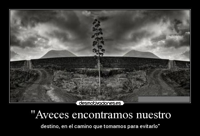 Aveces encontramos nuestro - 