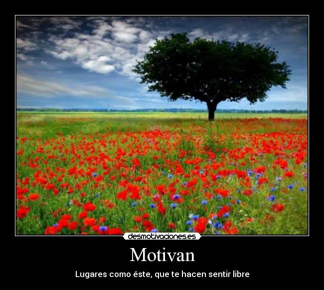 Motivan - Lugares como éste, que te hacen sentir libre