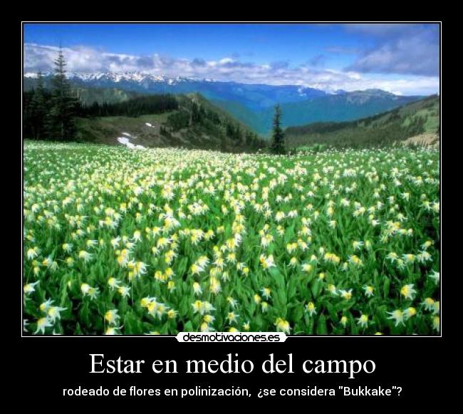 Estar en medio del campo - rodeado de flores en polinización, ¿se considera Bukkake?