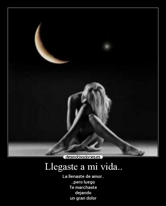 carteles vida theevelyn desmotivaciones