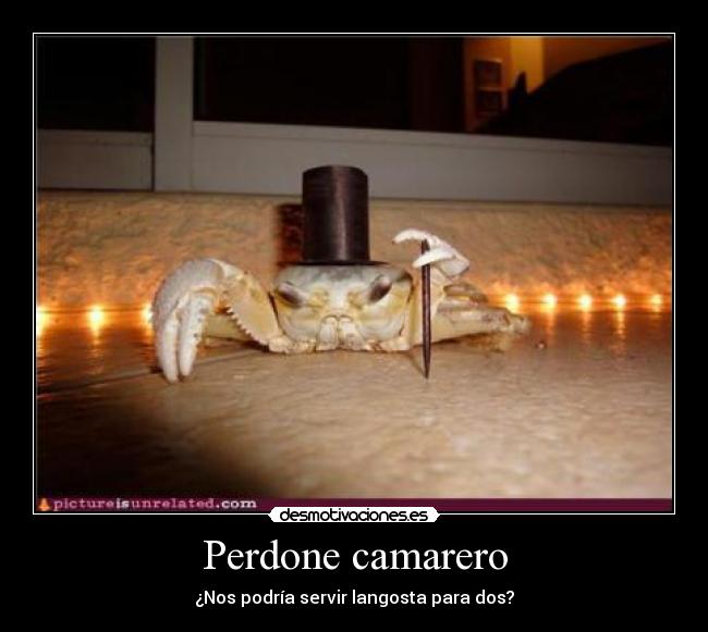 Perdone camarero - ¿Nos podría servir langosta para dos?