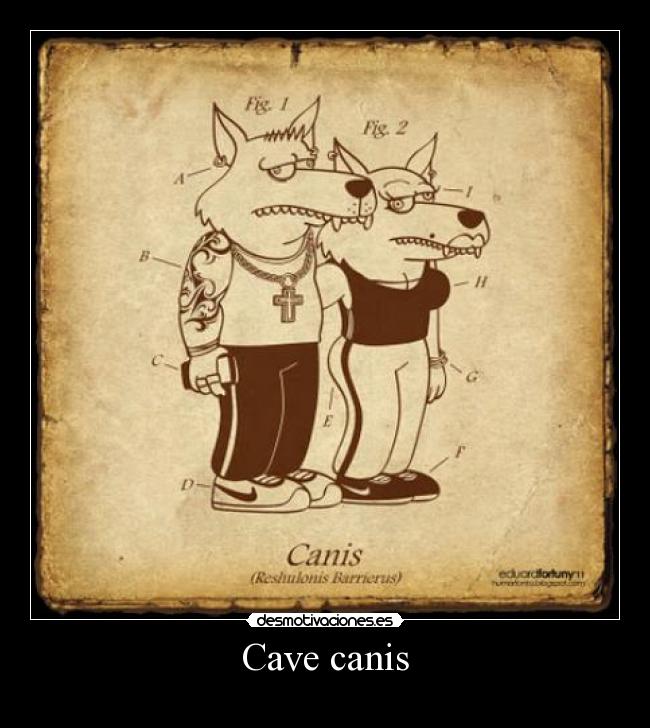 Cave canis -