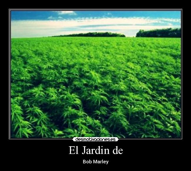 El Jardin de -