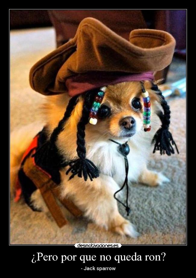 ¿Pero por que no queda ron? - - Jack sparrow