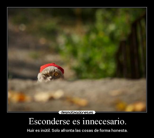Esconderse es innecesario. -