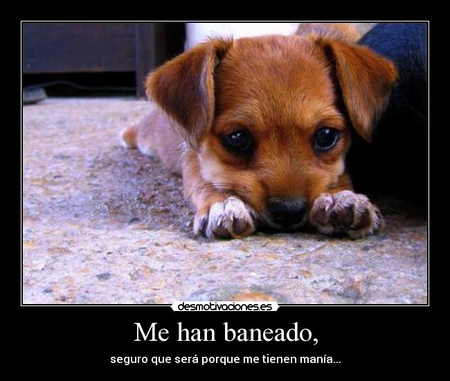 Me han baneado, - seguro que será porque me tienen manía...