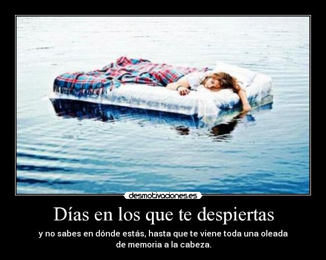 carteles se entendeis pero voy explicar ratoncillo pone esta potente jaja desmotivaciones