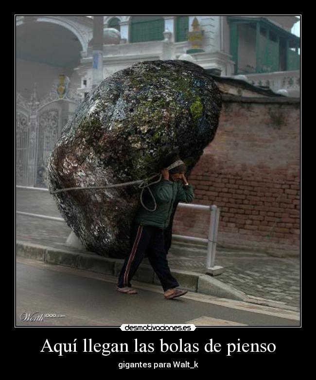 Aquí llegan las bolas de pienso - 