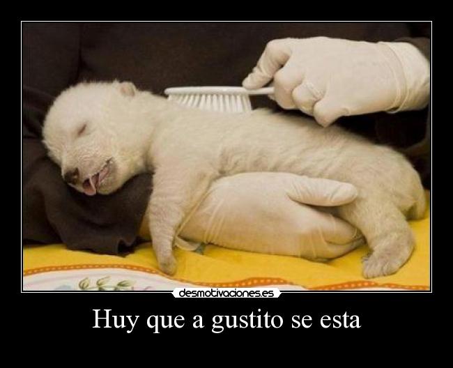 Huy que a gustito se esta - 