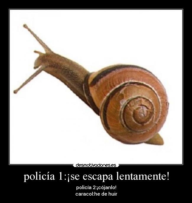 policía 1:¡se escapa lentamente! - policía 2:¡cójanlo!
caracol:he de huir