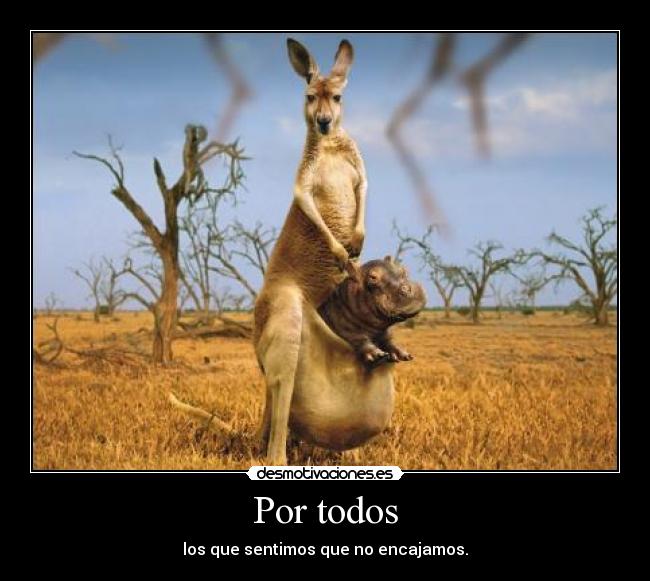 Por todos - los que sentimos que no encajamos.