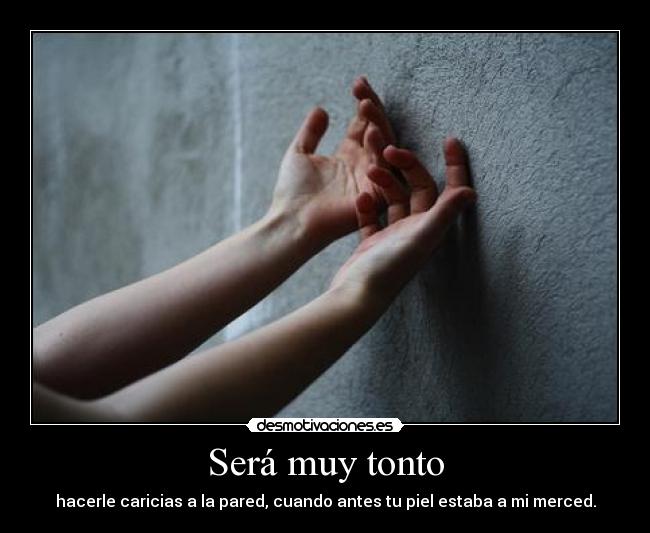 carteles tonto intentamos pero pudo funcionar desmotivaciones