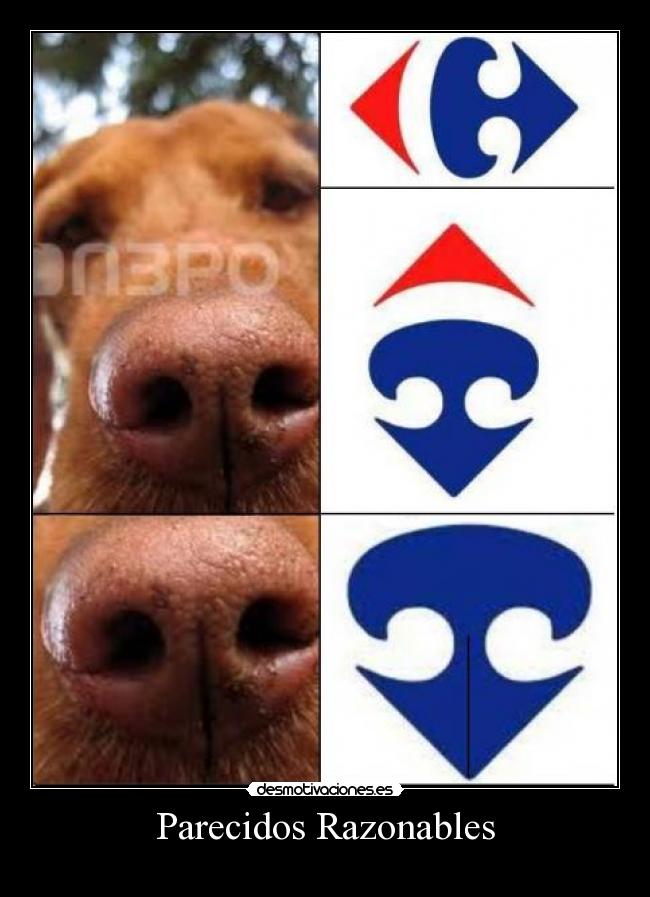 Parecidos Razonables -