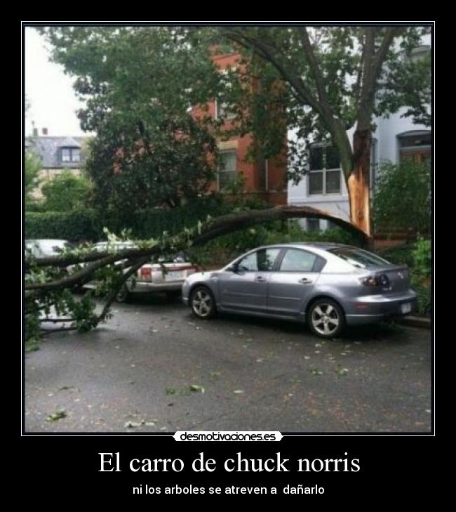 El carro de chuck norris - ni los arboles se atreven a  dañarlo