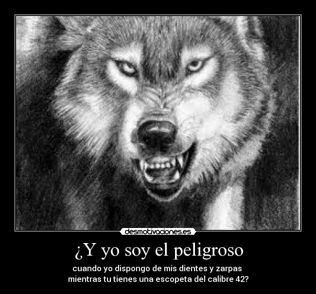 ¿Y yo soy el peligroso -