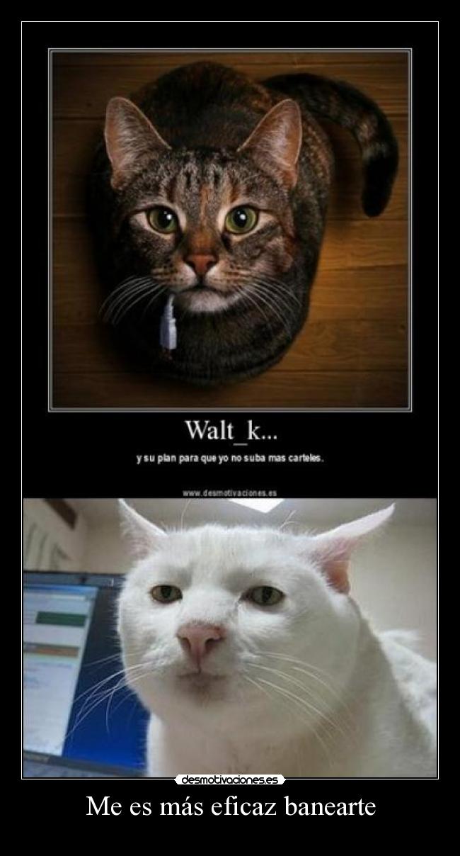 Me es más eficaz banearte -