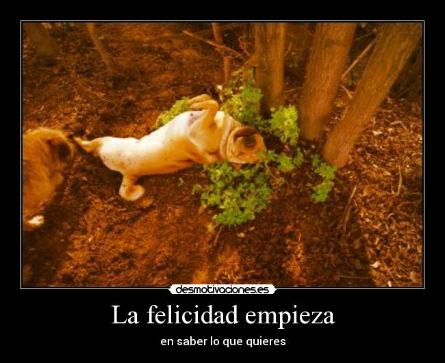 La felicidad empieza - en saber lo que quieres
