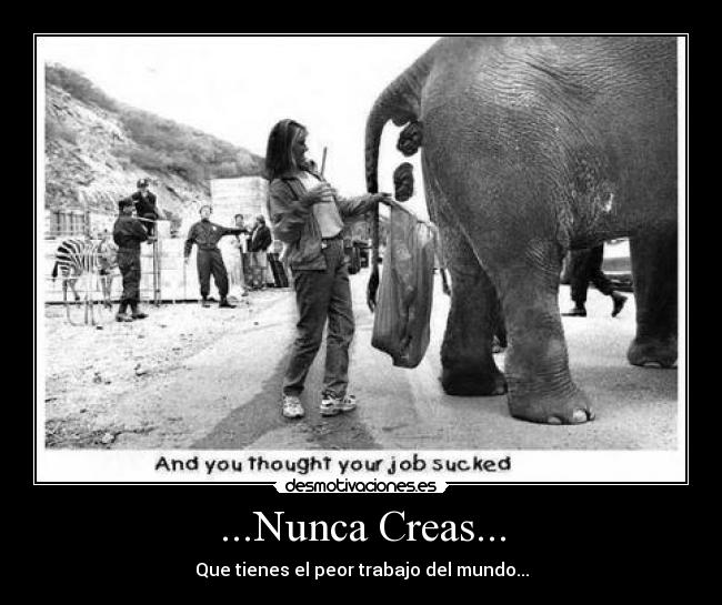 ...Nunca Creas... - 