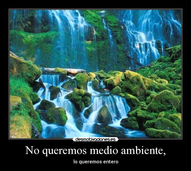 No queremos medio ambiente, -