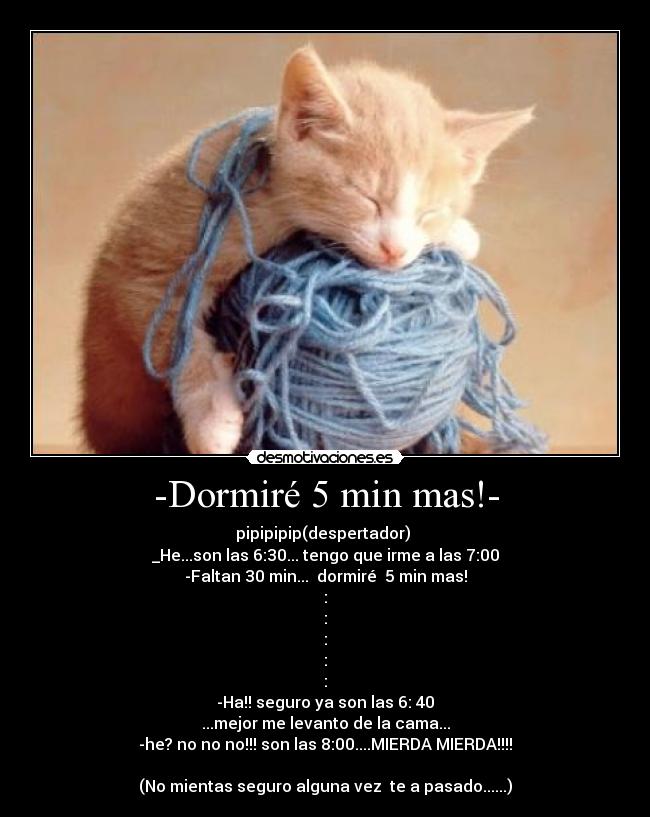 -Dormiré 5 min mas!- -