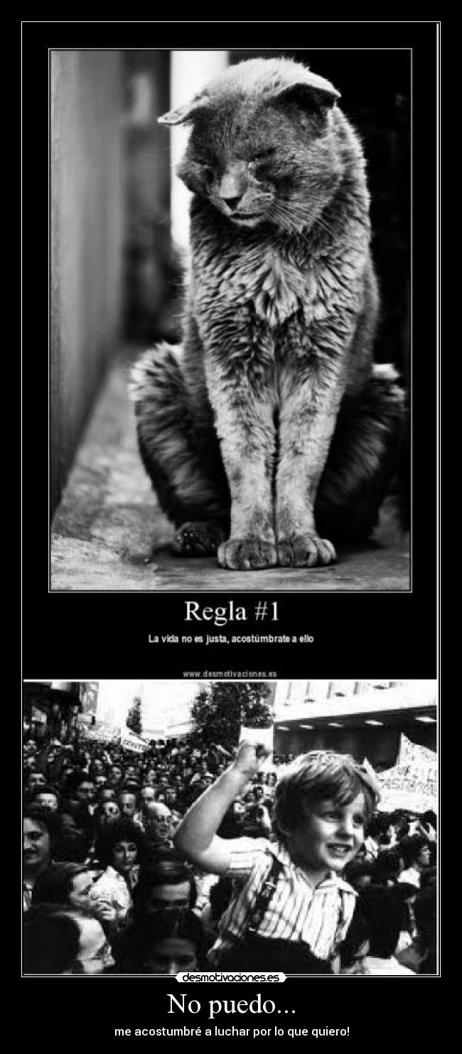 No puedo... - me acostumbré a luchar por lo que quiero!