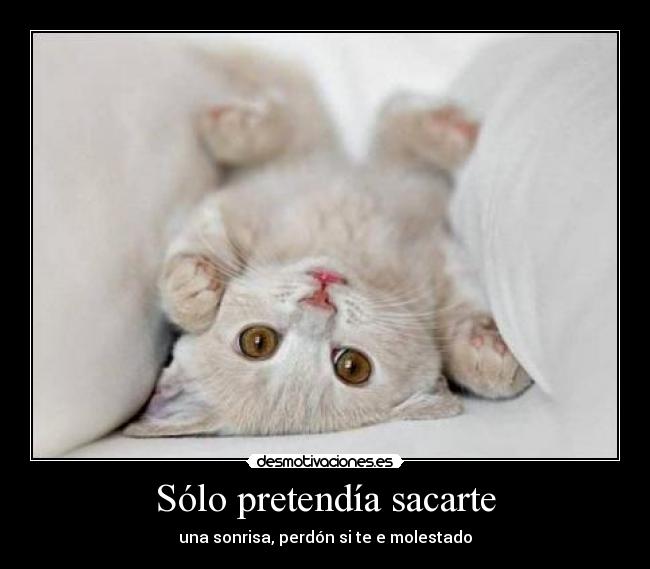Sólo pretendía sacarte - una sonrisa, perdón si te e molestado