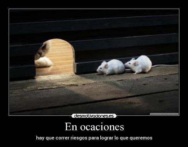 En ocaciones - hay que correr riesgos para lograr lo que queremos