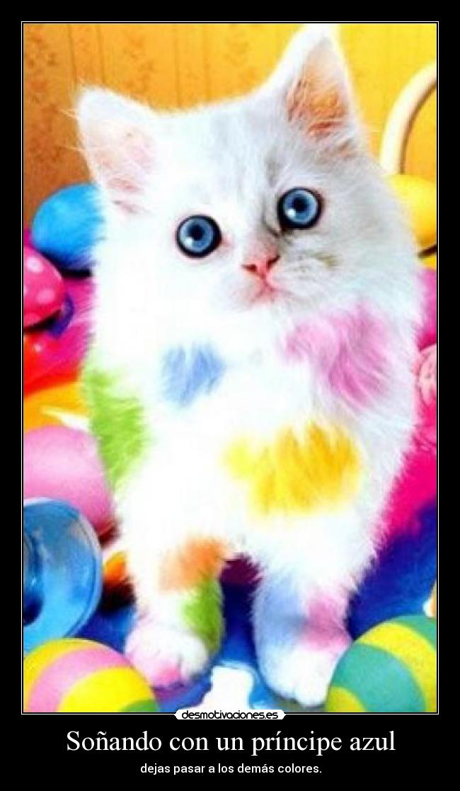 Soñando con un príncipe azul - dejas pasar a los demás colores.