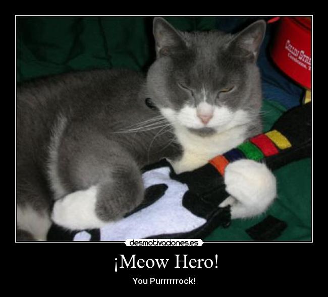 ¡Meow Hero! - You Purrrrrrock!