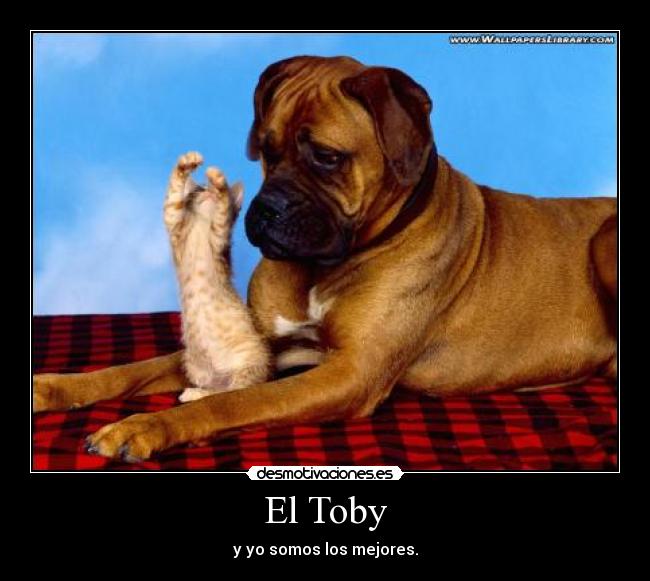 El Toby - y yo somos los mejores.