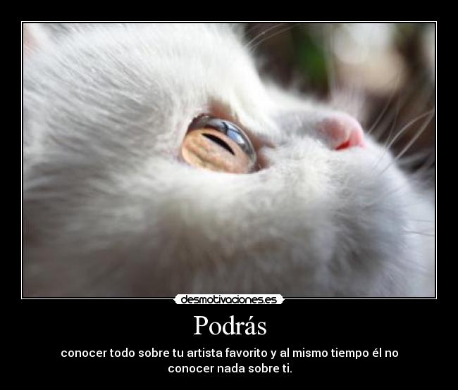 Podrás - conocer todo sobre tu artista favorito y al mismo tiempo él no conocer nada sobre ti.