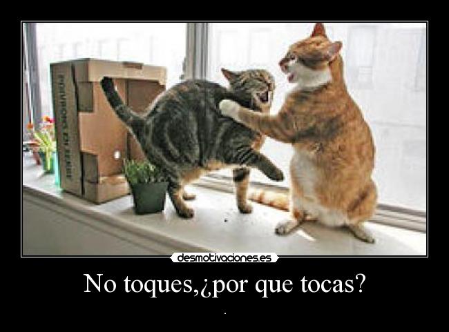 No toques,¿por que tocas? - .