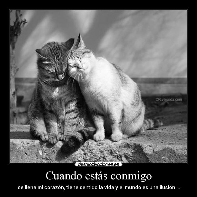 Cuando estás conmigo - se llena mi corazón, tiene sentido la vida y el mundo es una ilusión ...