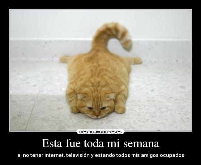 Esta fue toda mi semana - al no tener internet, televisión y estando todos mis amigos ocupados