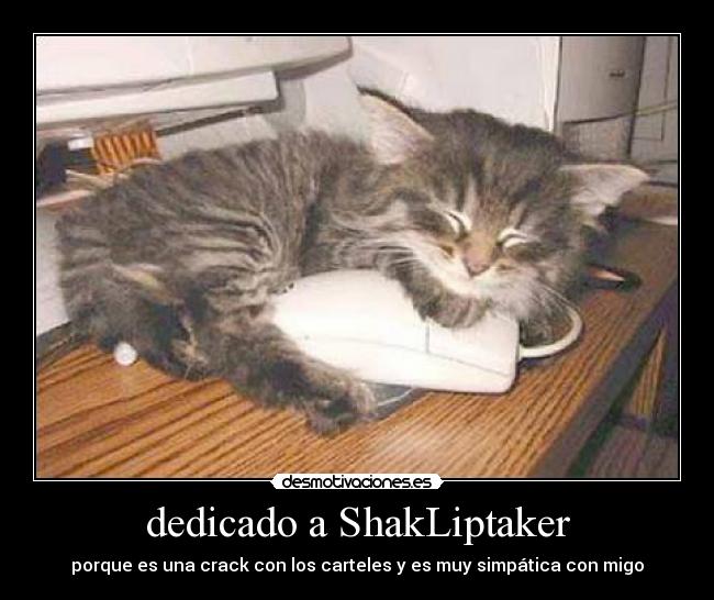 dedicado a ShakLiptaker - 