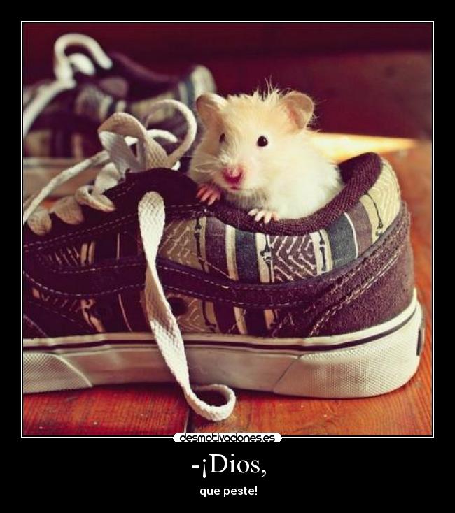 -¡Dios, -