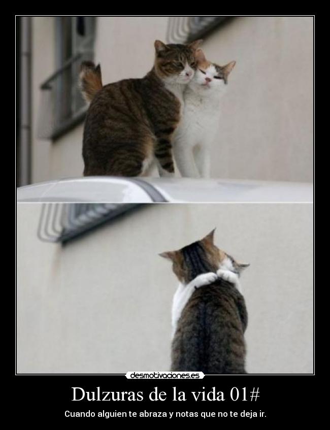 Dulzuras de la vida 01# -