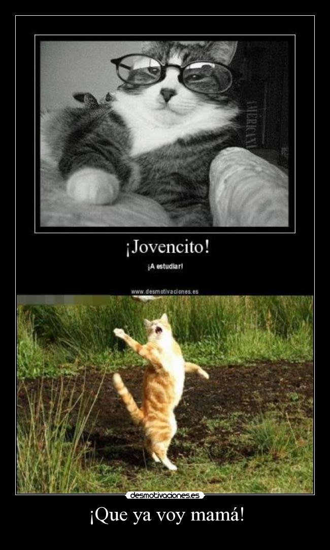 ¡Que ya voy mamá! - 