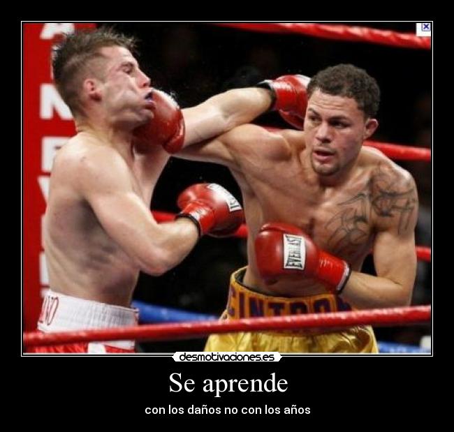 carteles aprende desmotivaciones