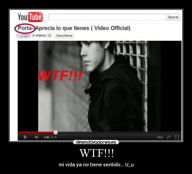 WTF!!! - mi vida ya no tiene sentido... U_u